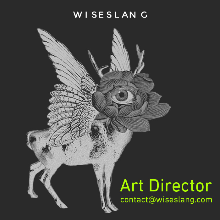 Wiseslang Art Director arıyor!