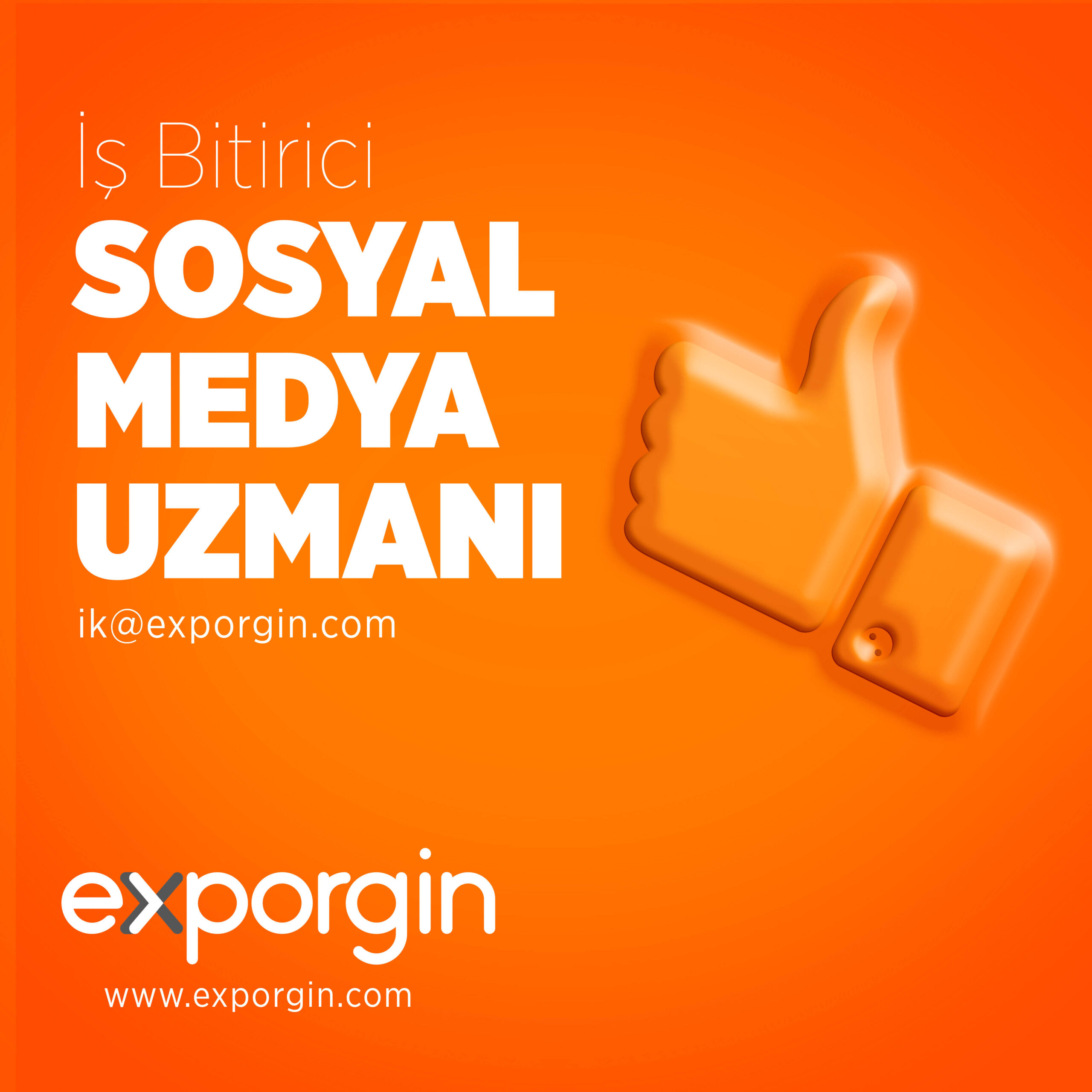 exporgin-is-looking-for-social-media-expert-ajans-hayvanlar