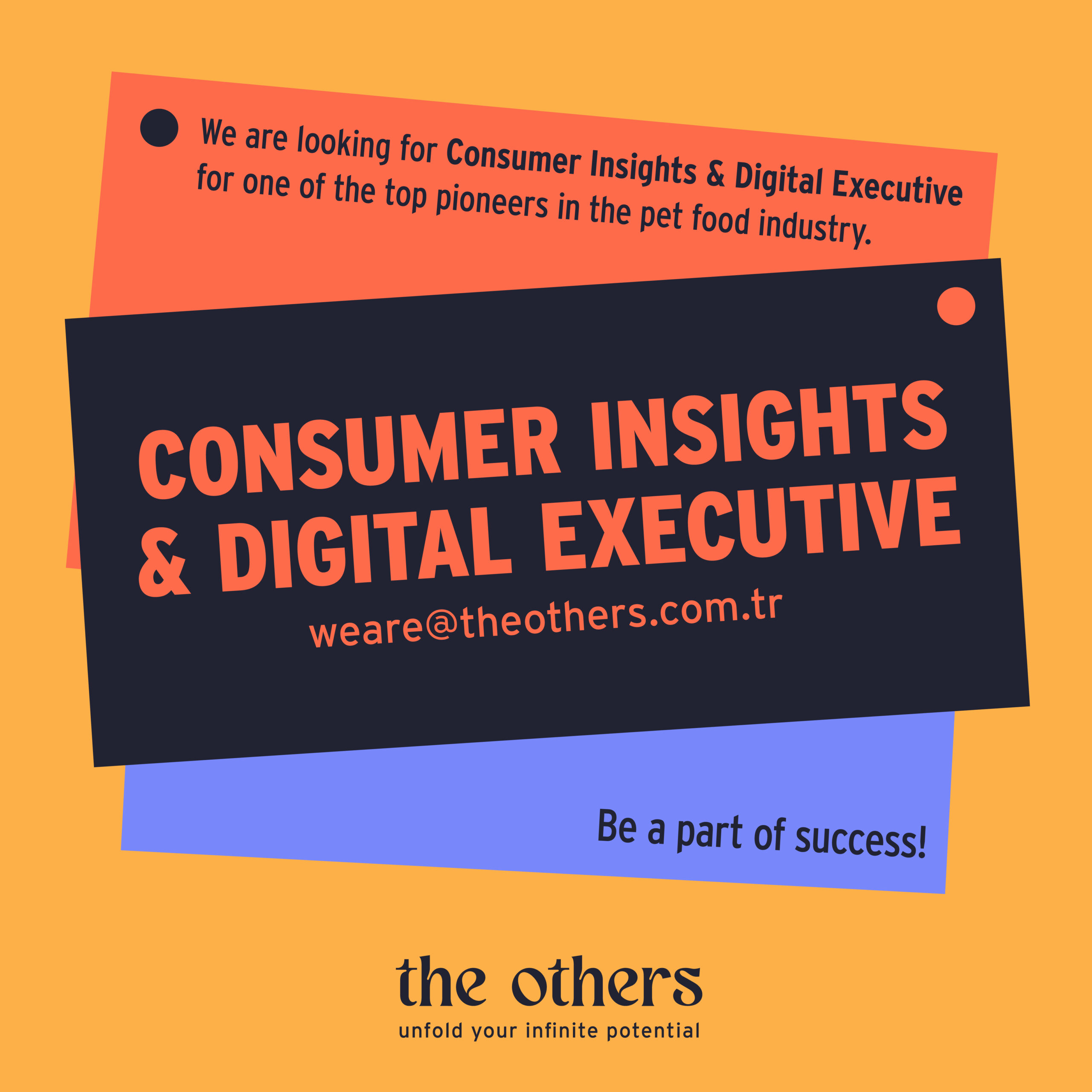 The Others looking for Consumer Insight & Digital Executive!